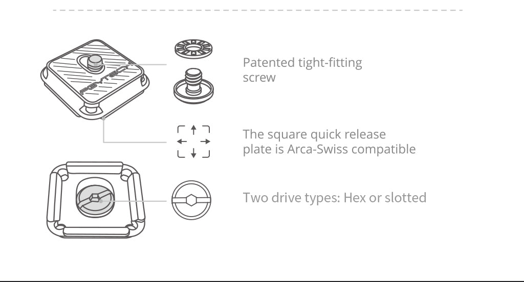 beetle-camera-clip-using-tips.jpg (39 KB)