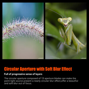 AstrHori 120mm f/2.8 2X Macro Lens (L Mount) - Thumbnail