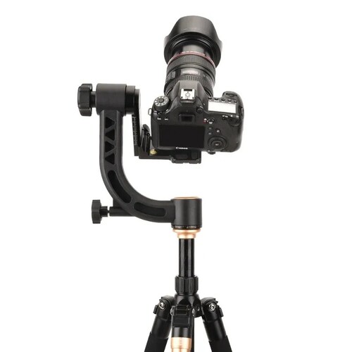 BF Pro 35 Gimbal Head Tripod Başlığı