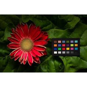 Calibrite ColorChecker Classic Nano - Thumbnail