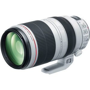 Canon - Canon EF 100-400mm f/4.5-5.6L IS II USM Lens