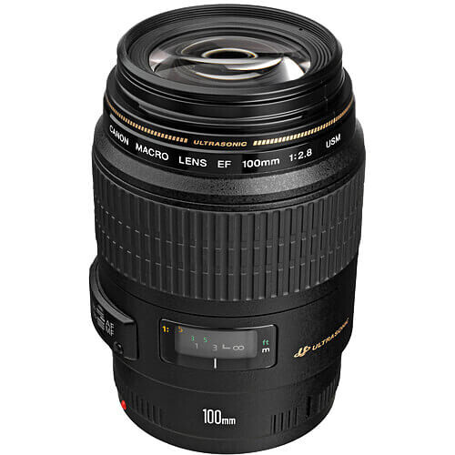 Canon EF 100mm f/2.8 USM Makro Lens