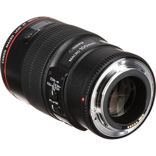 Canon EF 100mm f/2.8L IS USM Macro Lens