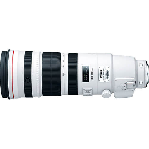 Canon EF 200-400mm f/4L IS USM ve 1.4x Extender