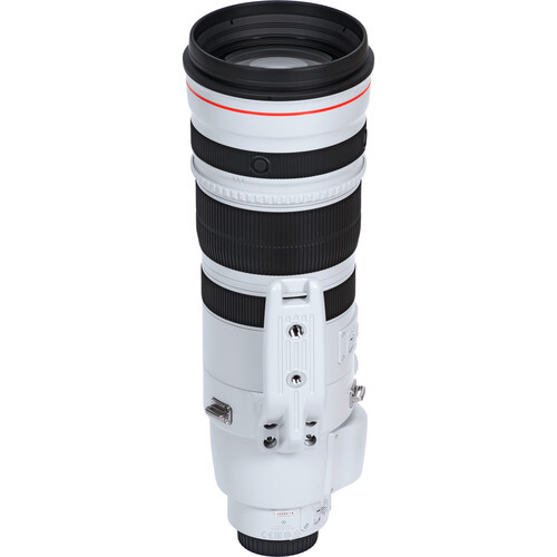 Canon EF 200-400mm f/4L IS USM ve 1.4x Extender