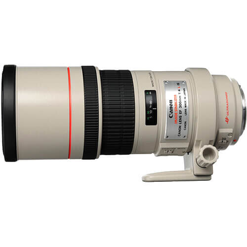 Canon EF 300mm f/4.0L IS USM Lens