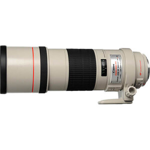 Canon EF 300mm f/4.0L IS USM Lens - Thumbnail
