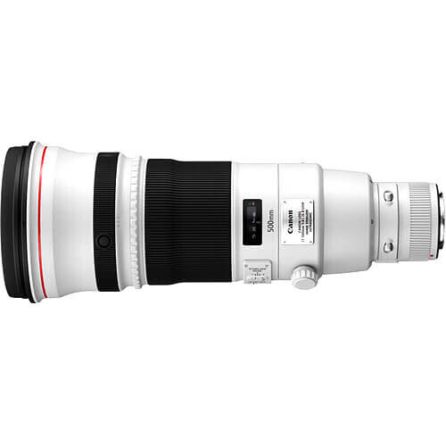 Canon EF 500mm f/4L IS II USM Lens