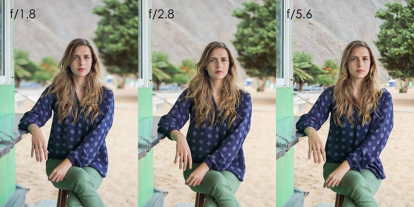 Canon EF 50mm f/1.8 STM Lens - Thumbnail
