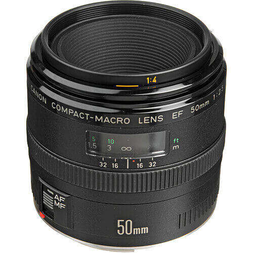 Canon EF 50mm f/2.5 Makro Lens