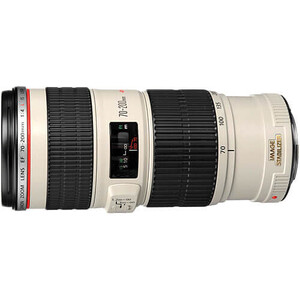 Canon EF 70-200mm f/4L IS USM Lens - Thumbnail