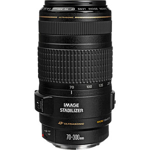 Canon - Canon EF 70-300mm f/4-5.6 IS USM Lens