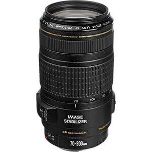 Canon EF 70-300mm f/4-5.6 IS USM Lens - Thumbnail