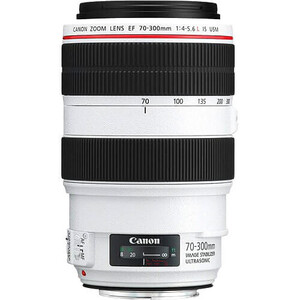 Canon - Canon EF 70-300mm f/4-5.6L IS USM Lens