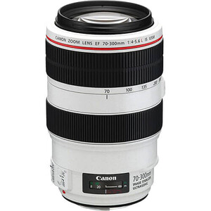 Canon EF 70-300mm f/4-5.6L IS USM Lens - Thumbnail