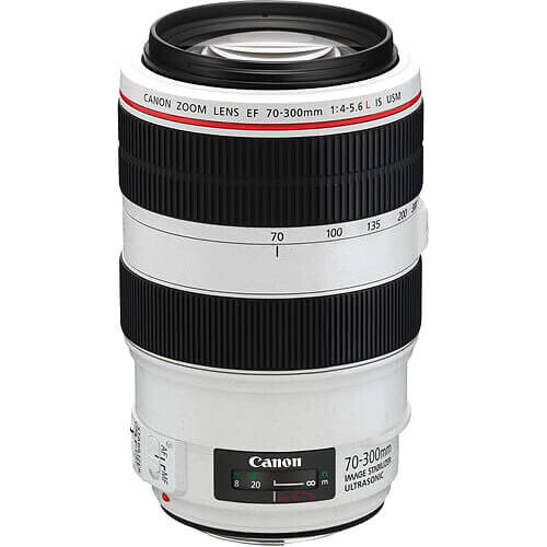 Canon EF 70-300mm f/4-5.6L IS USM Lens