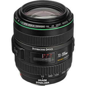 Canon EF 70-300mm f/4.5-5.6 DO IS USM Lens - Thumbnail