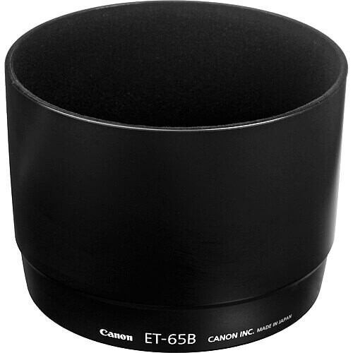 Canon EF 70-300mm f/4.5-5.6 DO IS USM Lens
