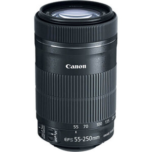 Canon EF-S 55-250mm f/4-5.6 IS STM Lens - Thumbnail