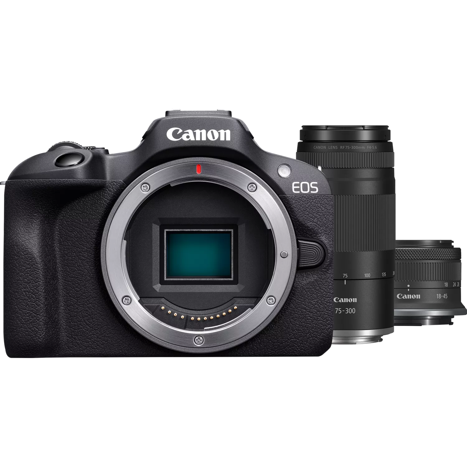Canon - Canon EOS R100 18-45mm + 75-300mm Lens Kit