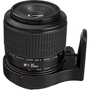 Canon MP-E 65mm f/2.8 1-5x Makro Lens - Thumbnail