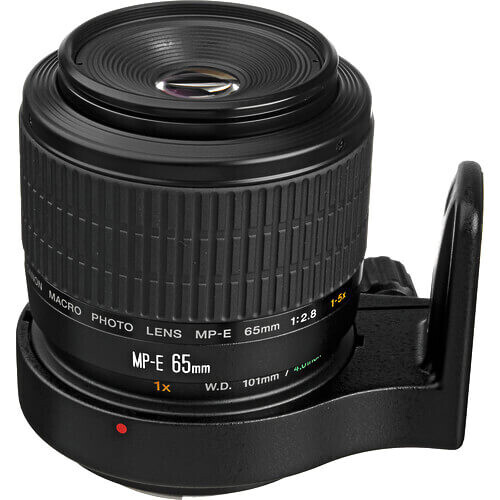 Canon MP-E 65mm f/2.8 1-5x Makro Lens