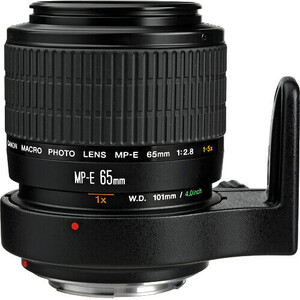 Canon MP-E 65mm f/2.8 1-5x Makro Lens - Thumbnail