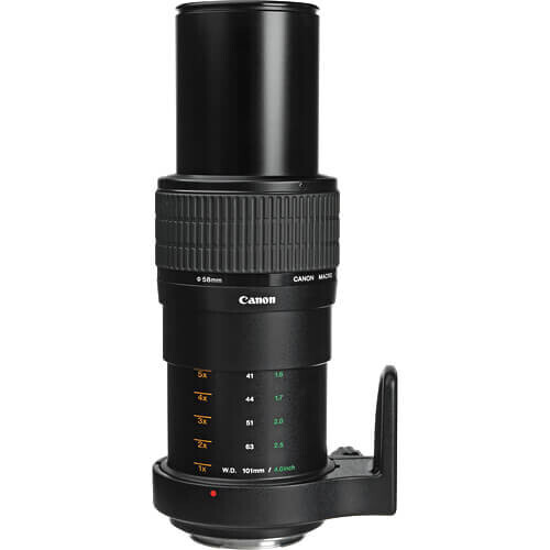 Canon MP-E 65mm f/2.8 1-5x Makro Lens