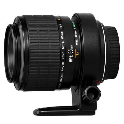 Canon MP-E 65mm f/2.8 1-5x Makro Lens