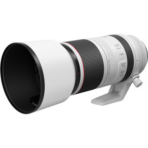 Canon RF 100-500mm f/4.5-7.1L IS USM Lens - Thumbnail