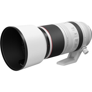 Canon - Canon RF 100-500mm f/4.5-7.1L IS USM Lens