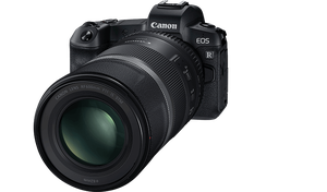 Canon RF 600mm F11 IS STM Lens - Thumbnail