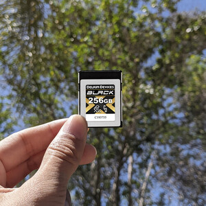 Delkin 256GB Black CFexpress Type-B 4.0 Hafıza Kartı - Thumbnail