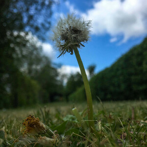 ExoLens with Optics by ZEISS Macro Lens - Thumbnail