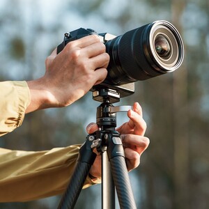 FALCAM TreeRoot Quick Lock Lite Carbon Fiber Travel Tripod F38 Ball Head - T00A4903 - Thumbnail