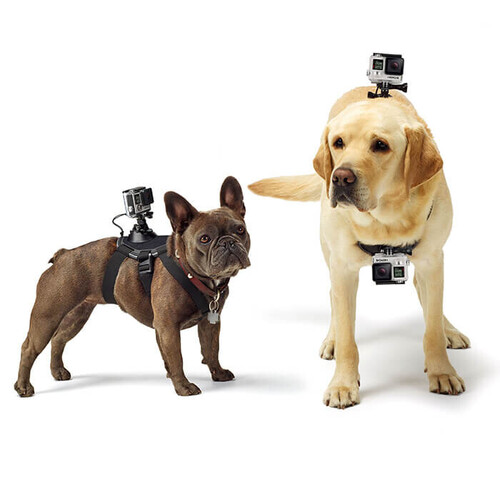 GoPro Fetch (Dog Harness) - Köpek Askısı