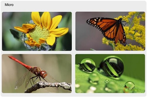 HLYPRO Smart Mobile Lens