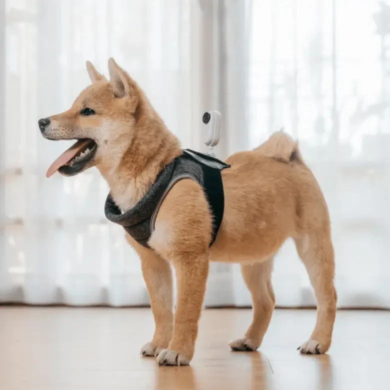 Insta360 - Insta360 GO 2 Pet Strap Mount
