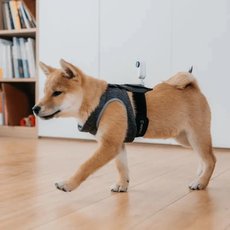 Insta360 GO 2 Pet Strap Mount - Thumbnail