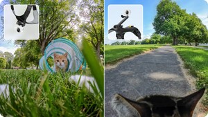 Insta360 Pet Harness Mount (Small) - Thumbnail