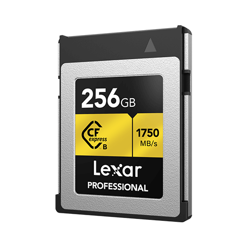 Lexar Pro CFexpress 256GB Type B Gold Hafıza Kartı