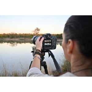 Nikon Z9 Body Aynasız Fotoğraf Makinesi ( 16500 TL Para İadesi ) - Thumbnail