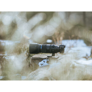 Olympus OM System 150-600mm f/5.0-6.3 IS Lens (MFT) - Thumbnail