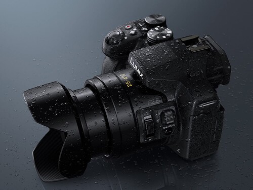 Panasonic DMC-FZ300EGK Dijital Kompakt Fotoğraf Makinesi