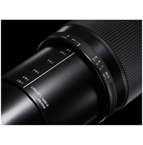 Sigma 18-300mm f/3.5-6.3 DC Macro OS HSM | C Lens (Canon EF)