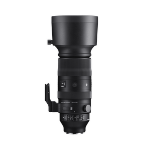 Sigma 60-600mm F/4.5-6.3 DG DN OS Sports Lens (L Mount) - Thumbnail