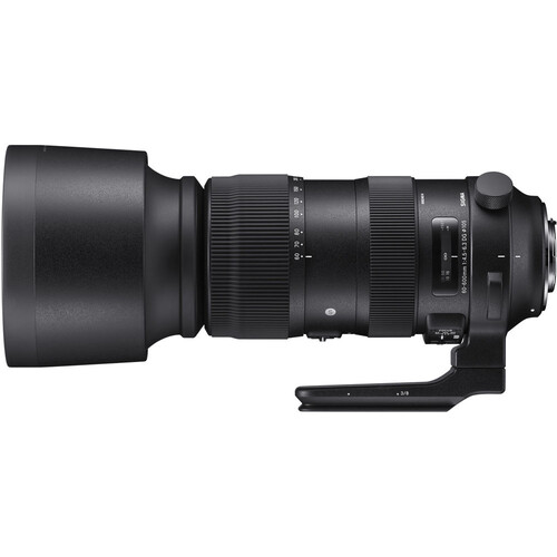 Sigma 60-600mm F/4.5-6.3 DG OS HSM Sports Lens (Canon EF)