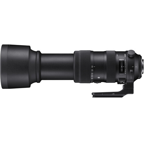 Sigma 60-600mm F/4.5-6.3 DG OS HSM Sports Lens (Canon EF)