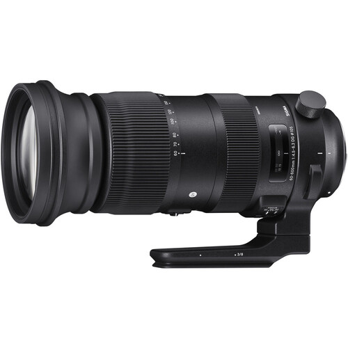 Sigma 60-600mm F/4.5-6.3 DG OS HSM Sports Lens (Nikon F)