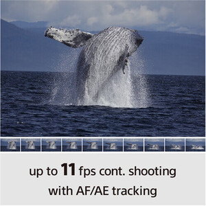 Sony Alpha a6100 Dijital Fotoğraf Makinesi - Thumbnail